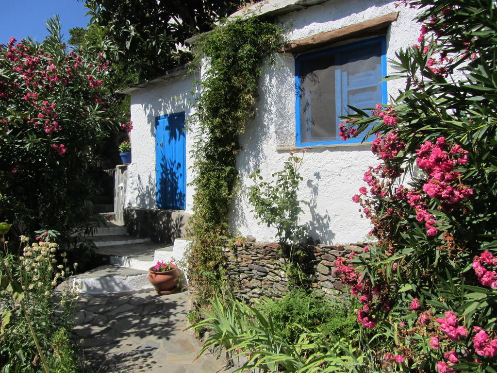 Sierra Y Mar Bed & Breakfast Ferreirola Room photo