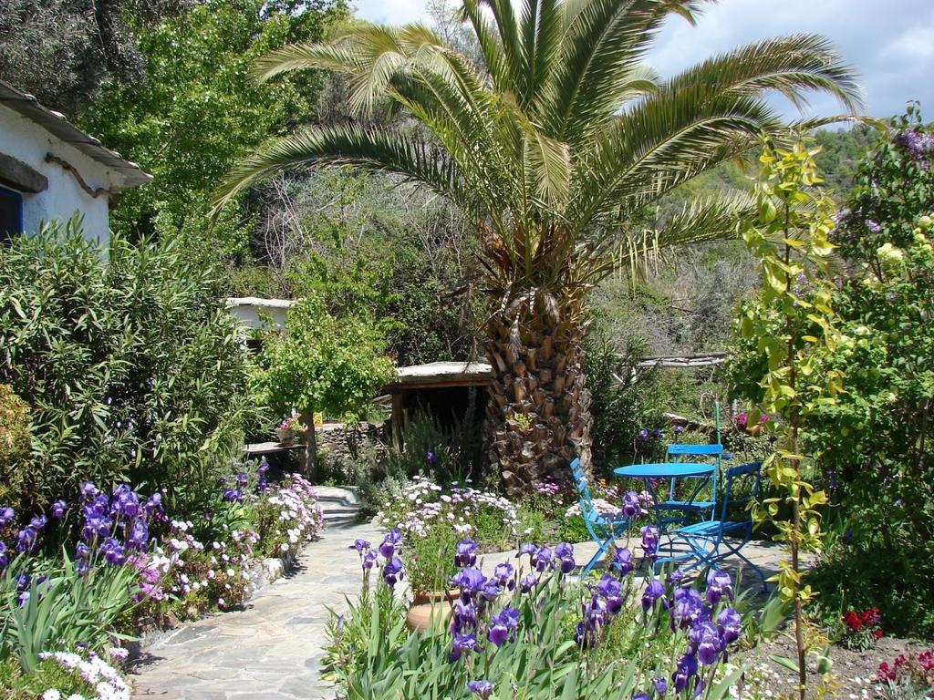 Sierra Y Mar Bed & Breakfast Ferreirola Exterior photo